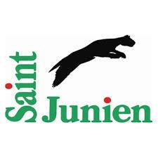 Logo Ville de Saint Junien